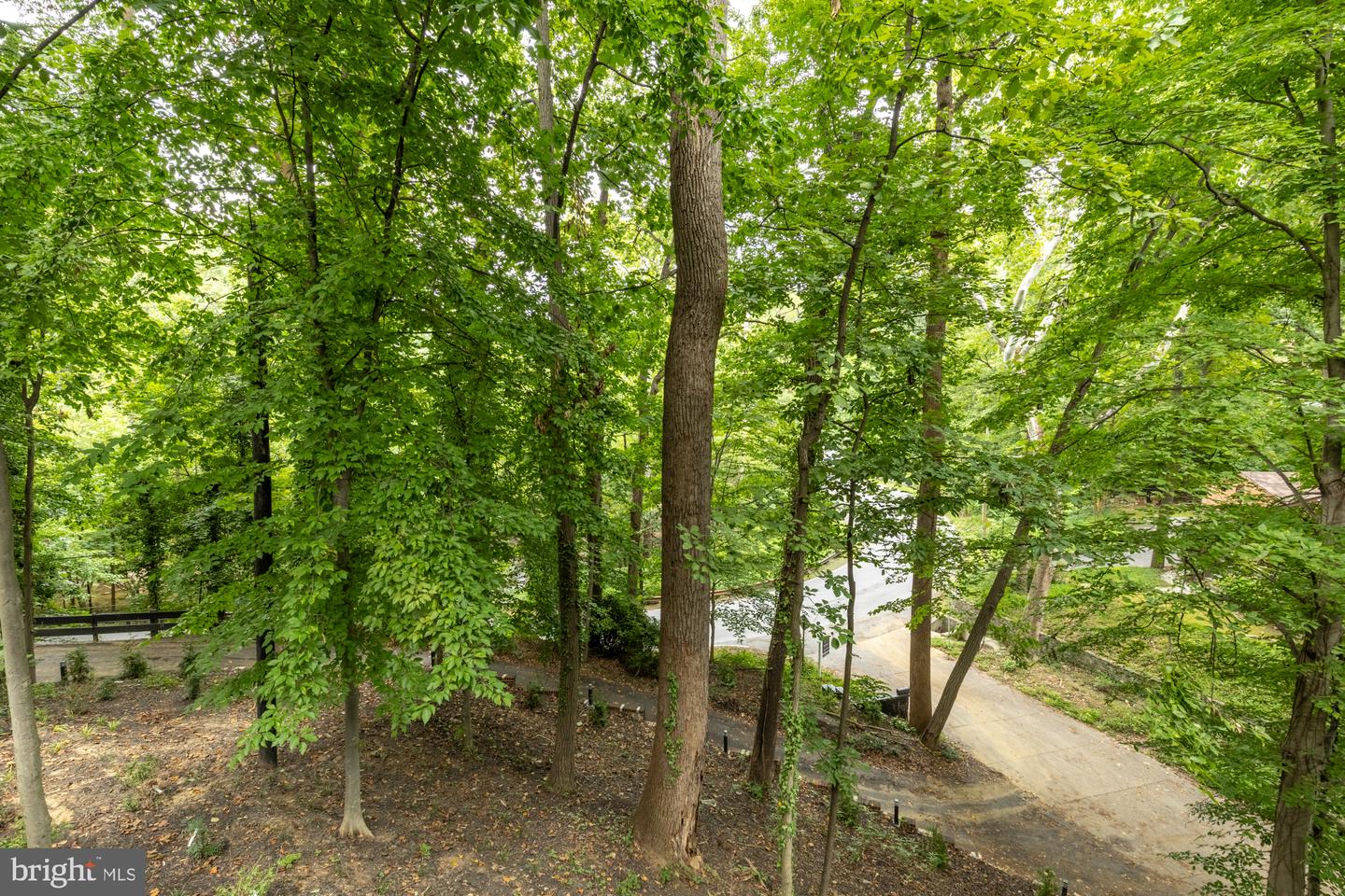 811 Sligo Creek Pkwy Property Photo 58