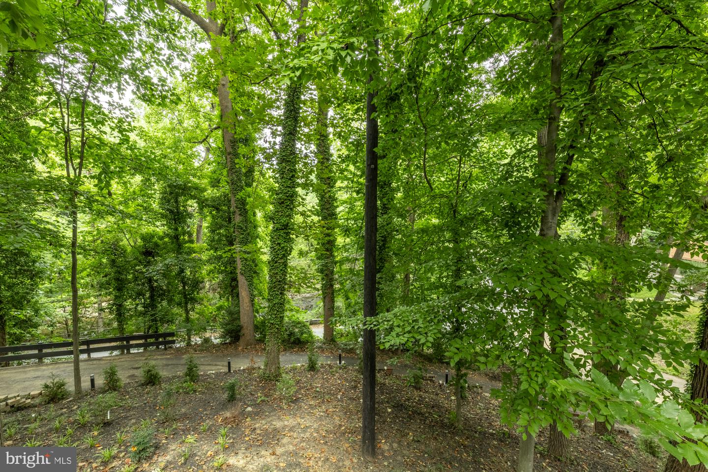 811 Sligo Creek Pkwy Property Photo 60