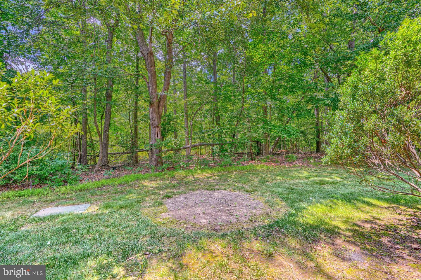 13006 Woodcutter Cir #157 Property Photo 1