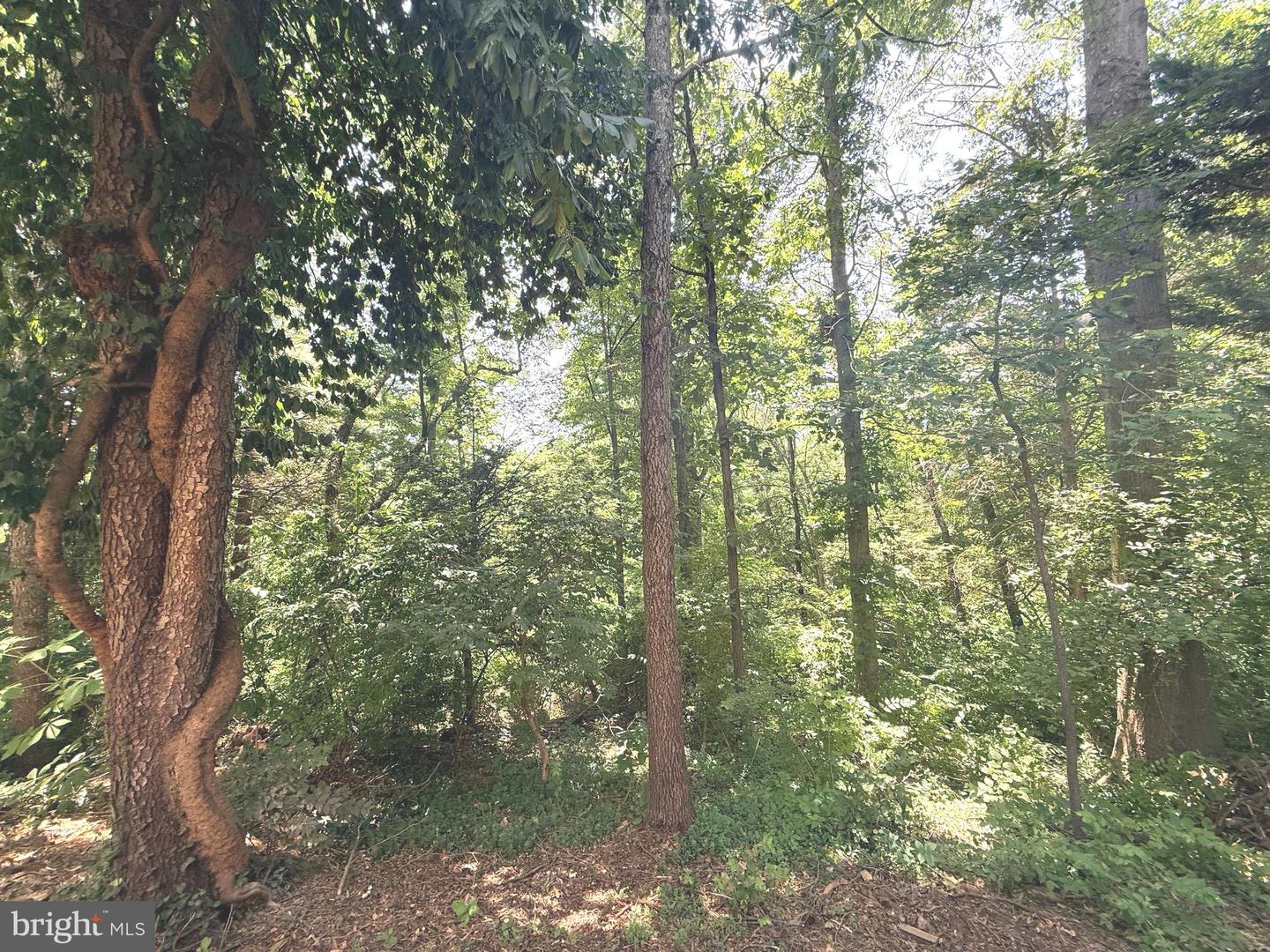 20345 Watkins Meadow Dr Property Photo 35