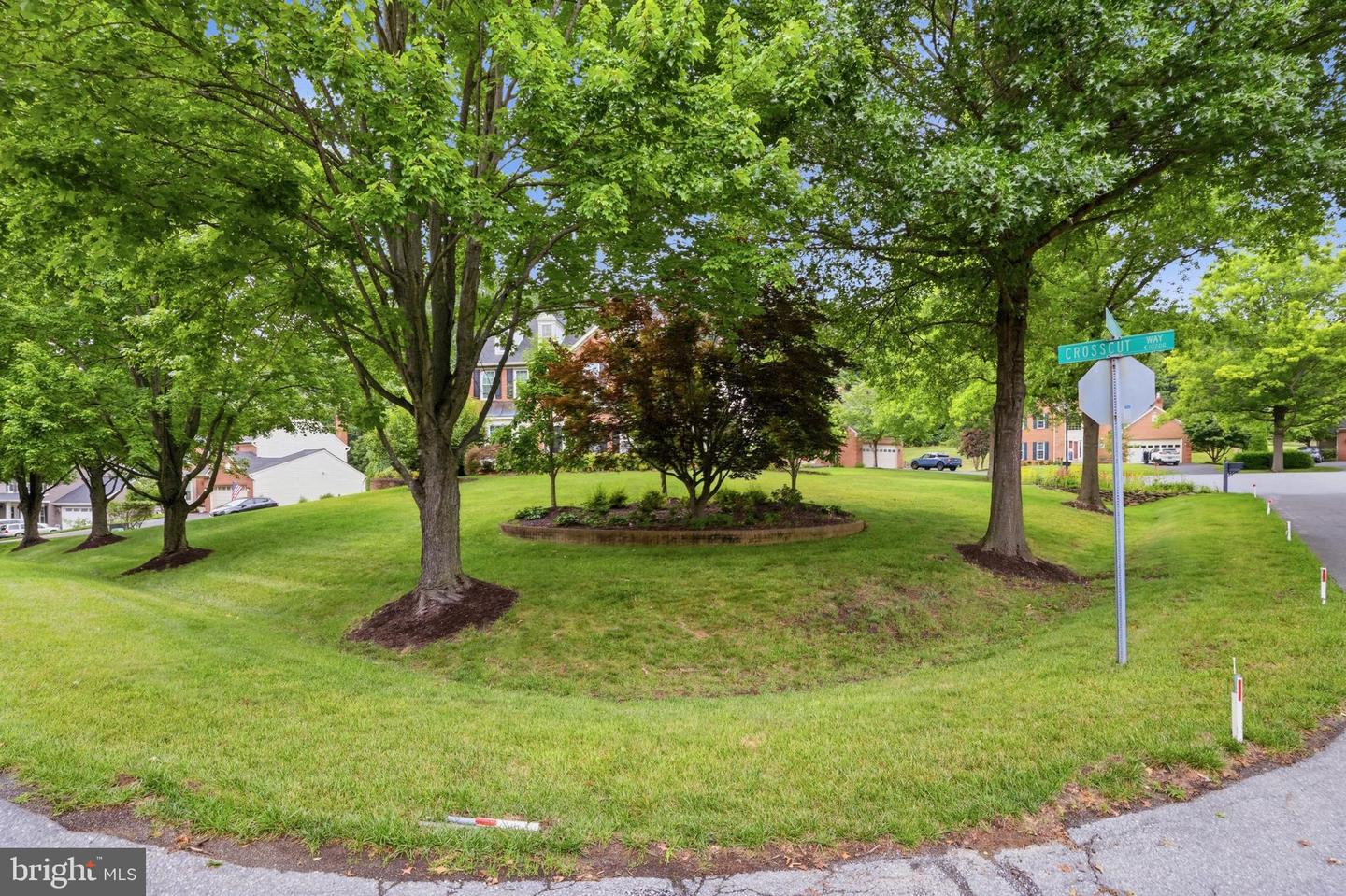 2 Crosscut Ct Property Photo 5