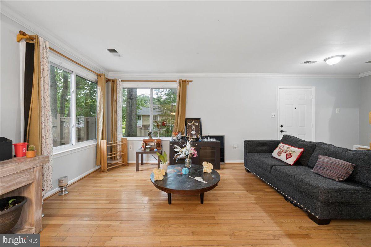 18621 Turmeric Ct Property Photo 8