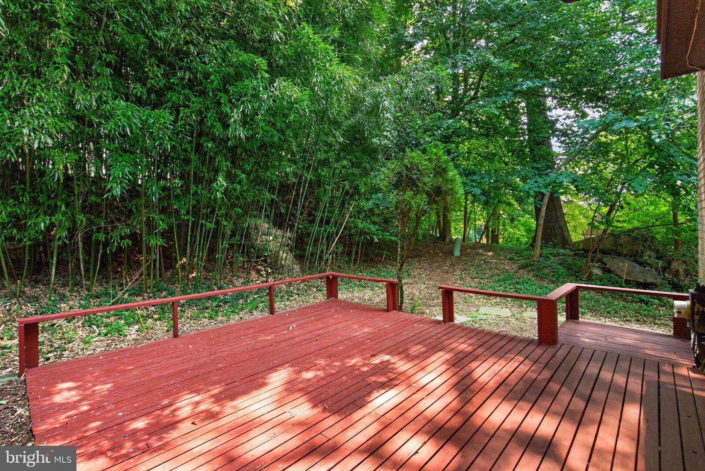 9217 Three Oaks Dr Property Photo 59
