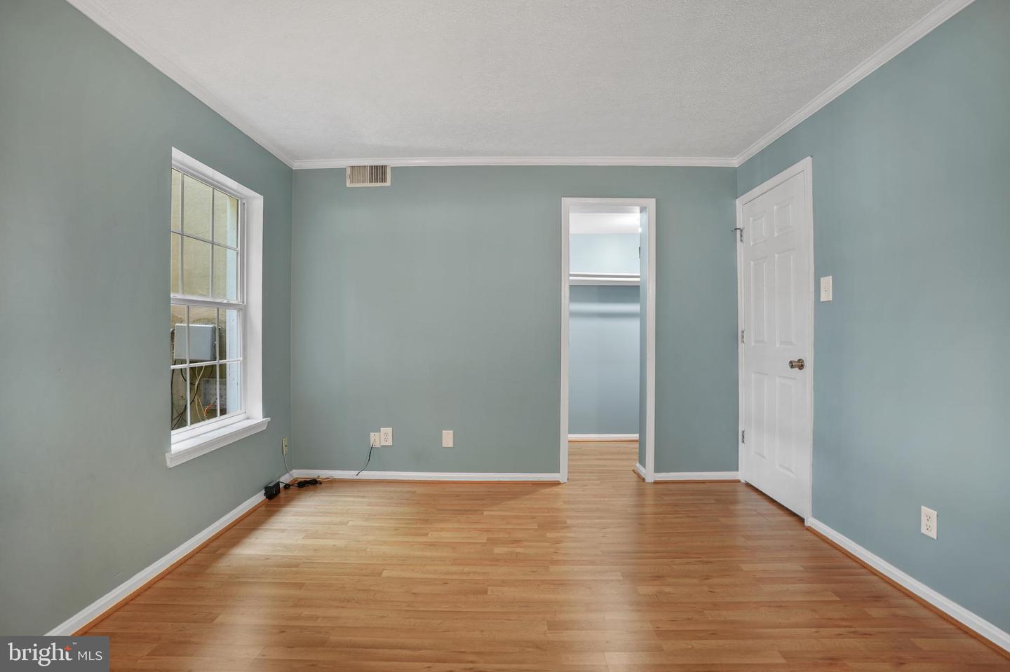 3428 Bruton Parish Way #172 Property Photo 5