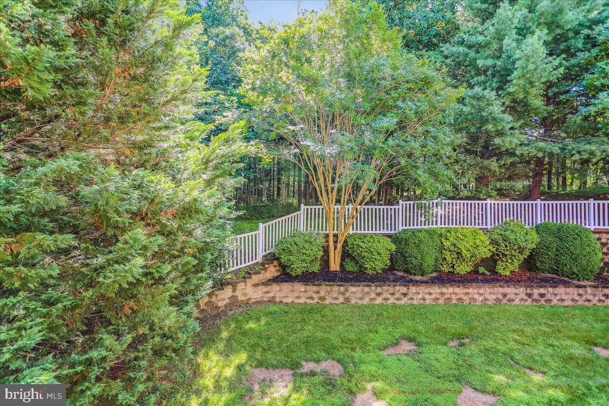 8931 Falls Farm Dr Property Photo 60