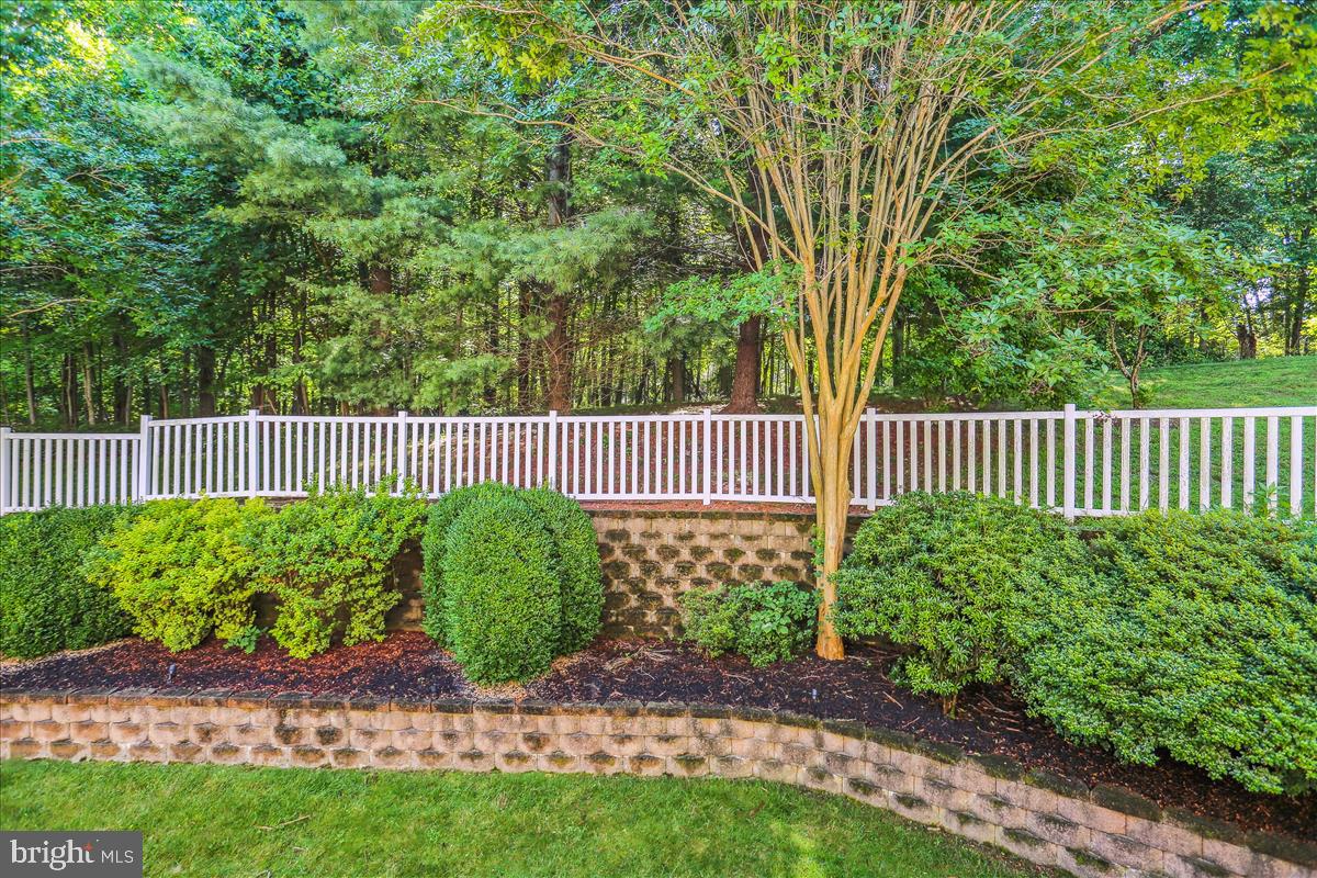 8931 Falls Farm Dr Property Photo 61