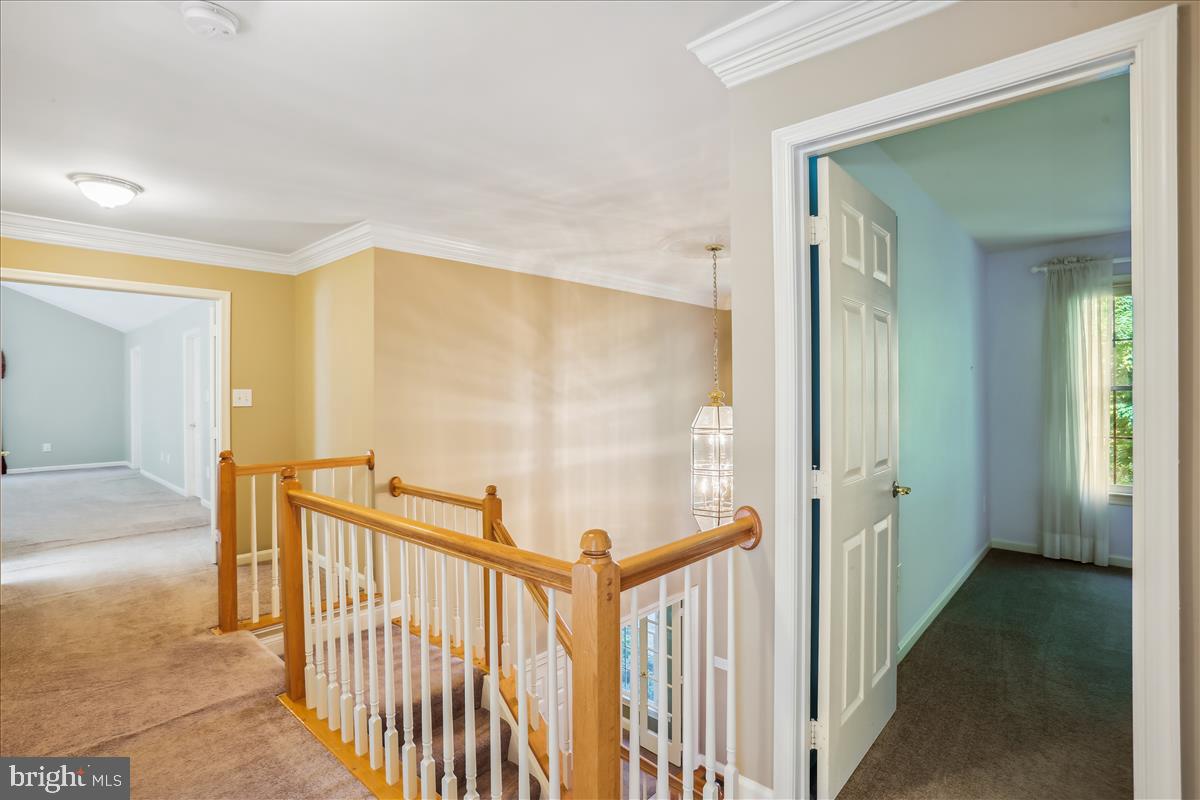 8931 Falls Farm Dr Property Photo 65