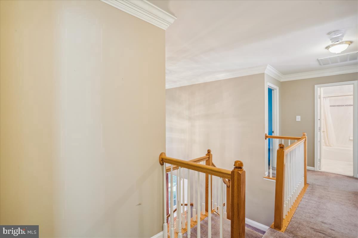 8931 Falls Farm Dr Property Photo 66