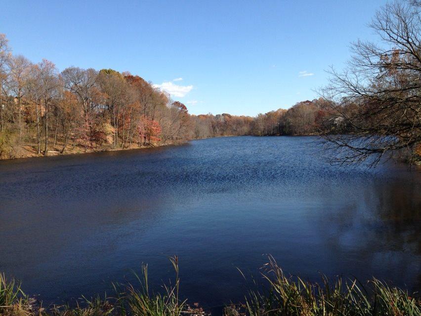 9580 Nature Trl Property Photo 48