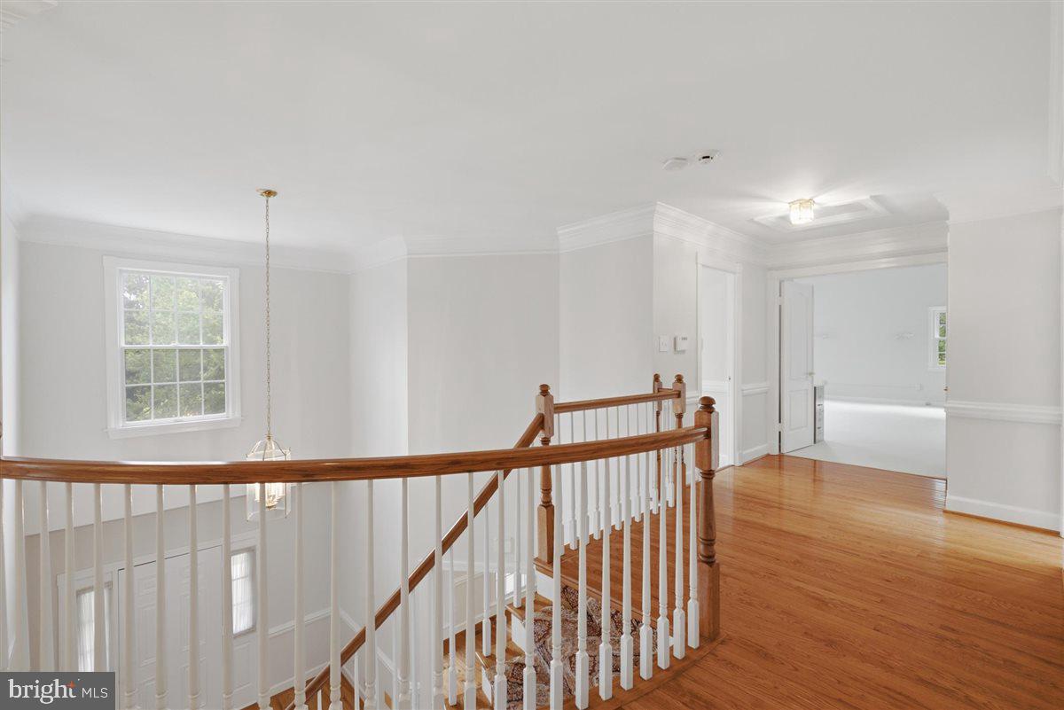 26 Grey Pebble Ct Property Photo 49