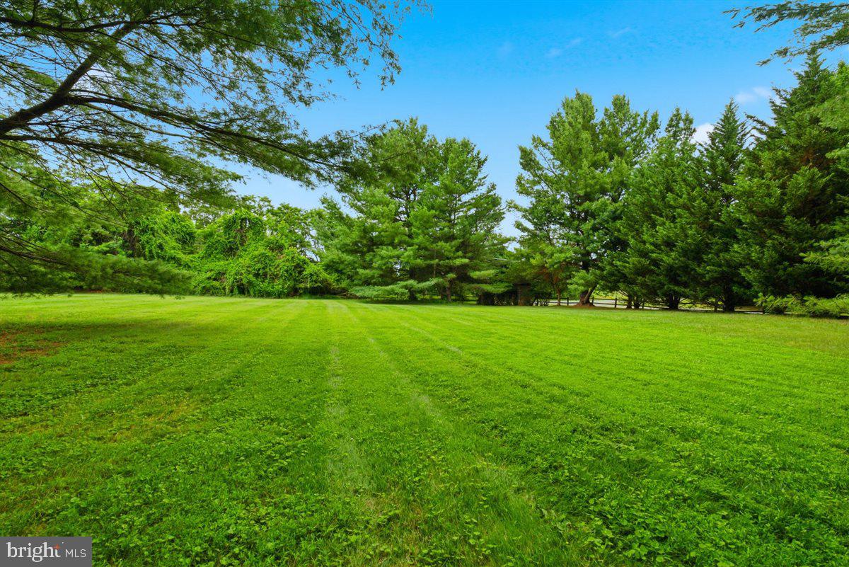 26 Grey Pebble Ct Property Photo 89
