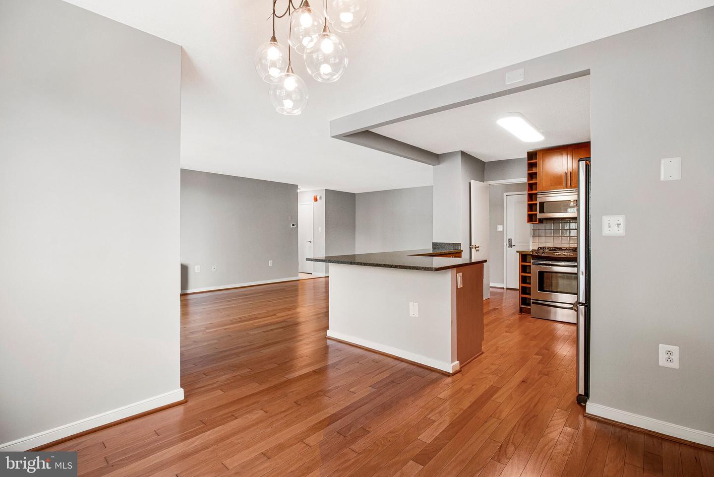 7333 New Hampshire Ave #420w Property Photo 5