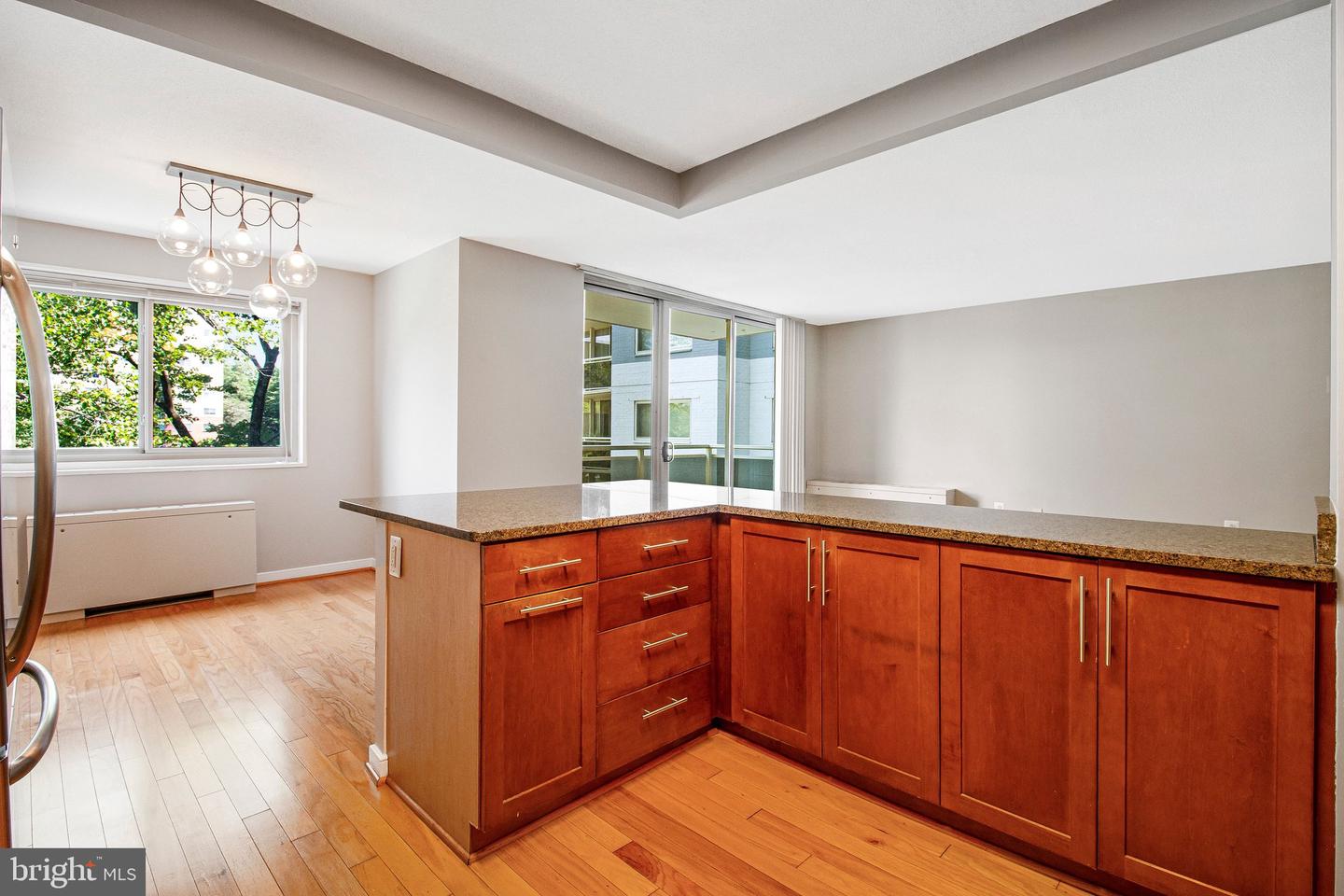 7333 New Hampshire Ave #420w Property Photo 6