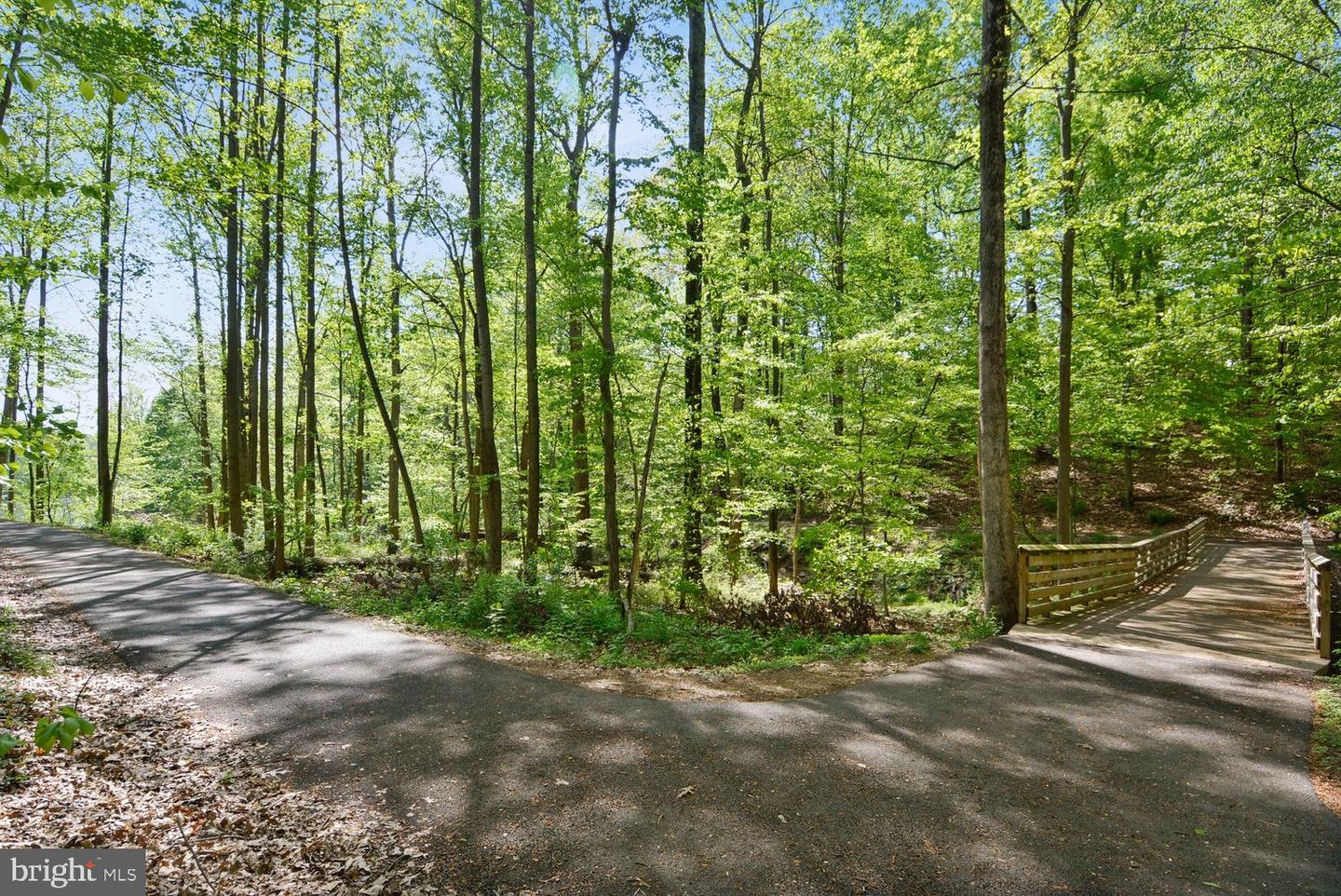 12031 Panthers Ridge Dr Property Photo 26