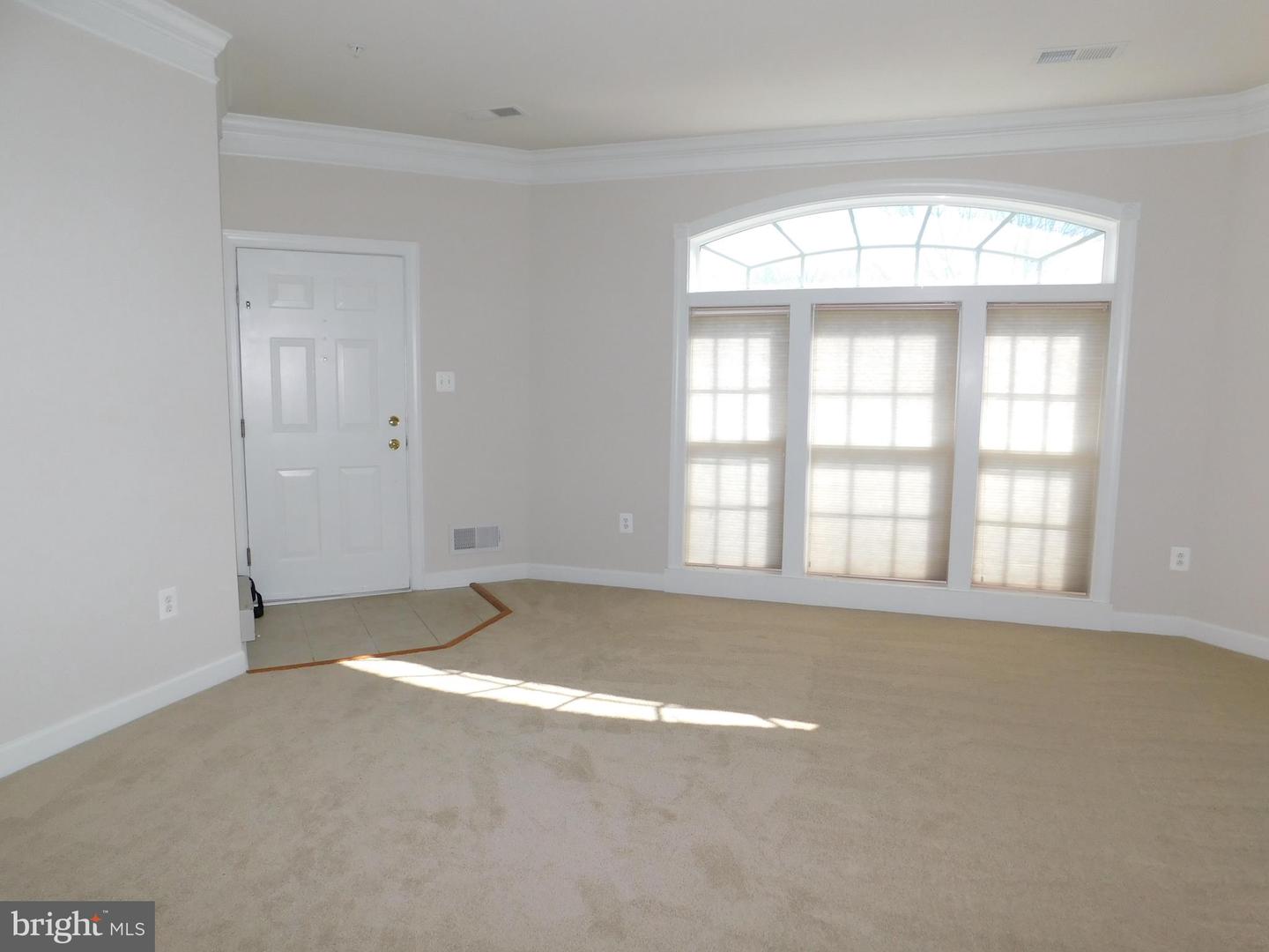 937 Hidden Marsh St Property Photo 3