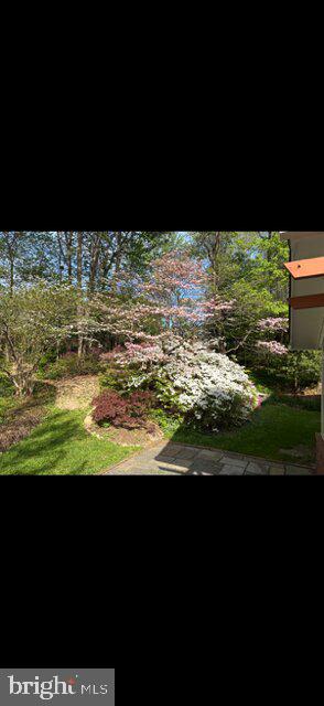 2213 Apple Tree Ln Property Photo 34