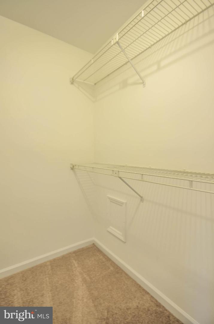 10715 Hampton Mill Ter #110 Property Photo 19