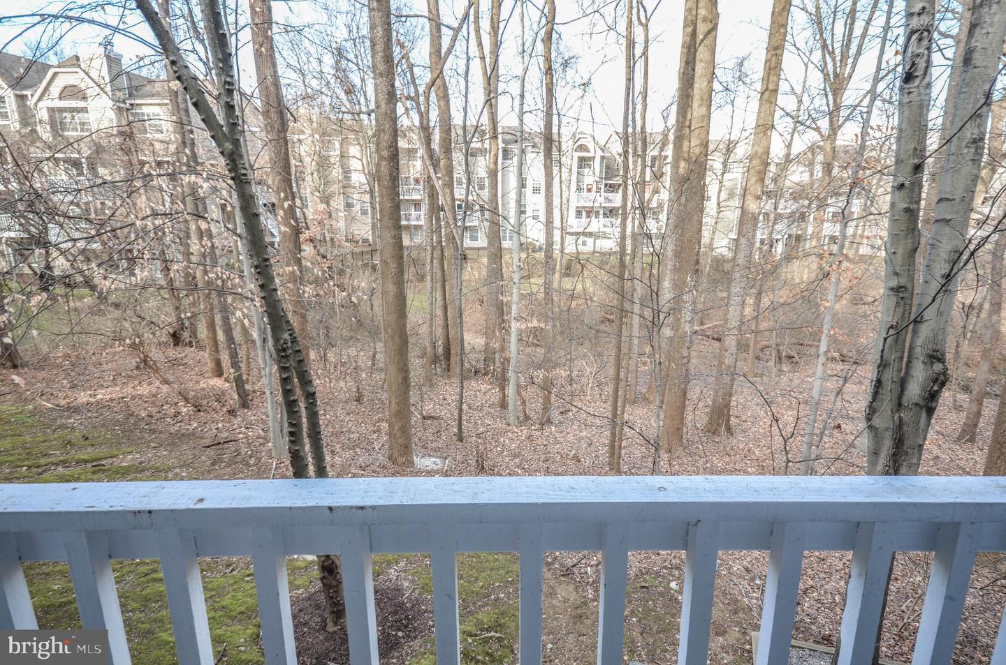 10715 Hampton Mill Ter #110 Property Photo 23