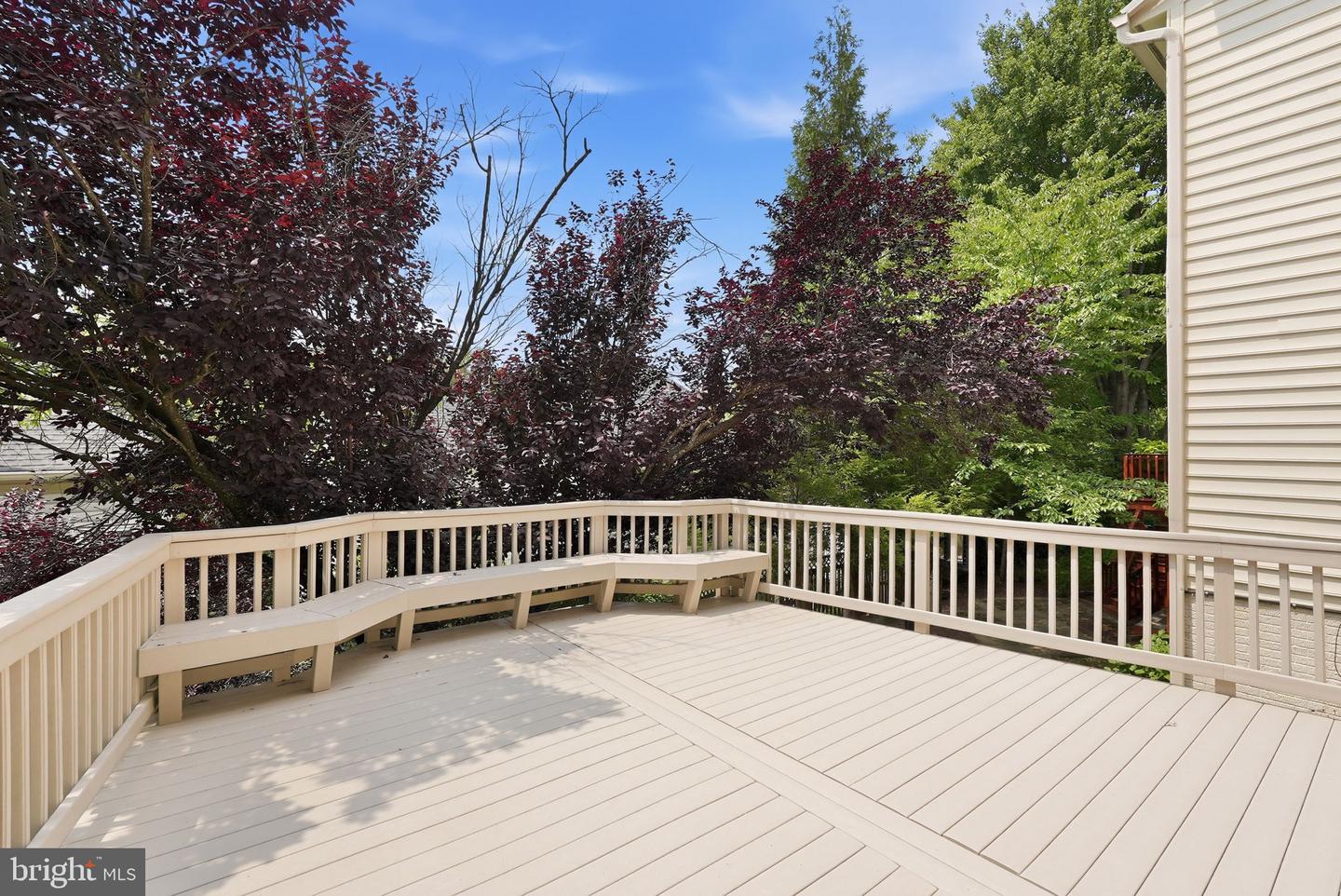 10417 Snow Point Dr Property Photo 41