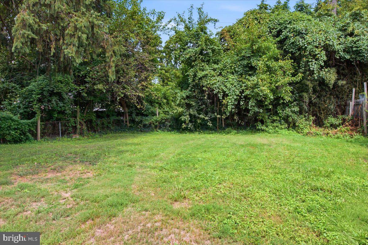 3515 Decatur Ave Property Photo 11