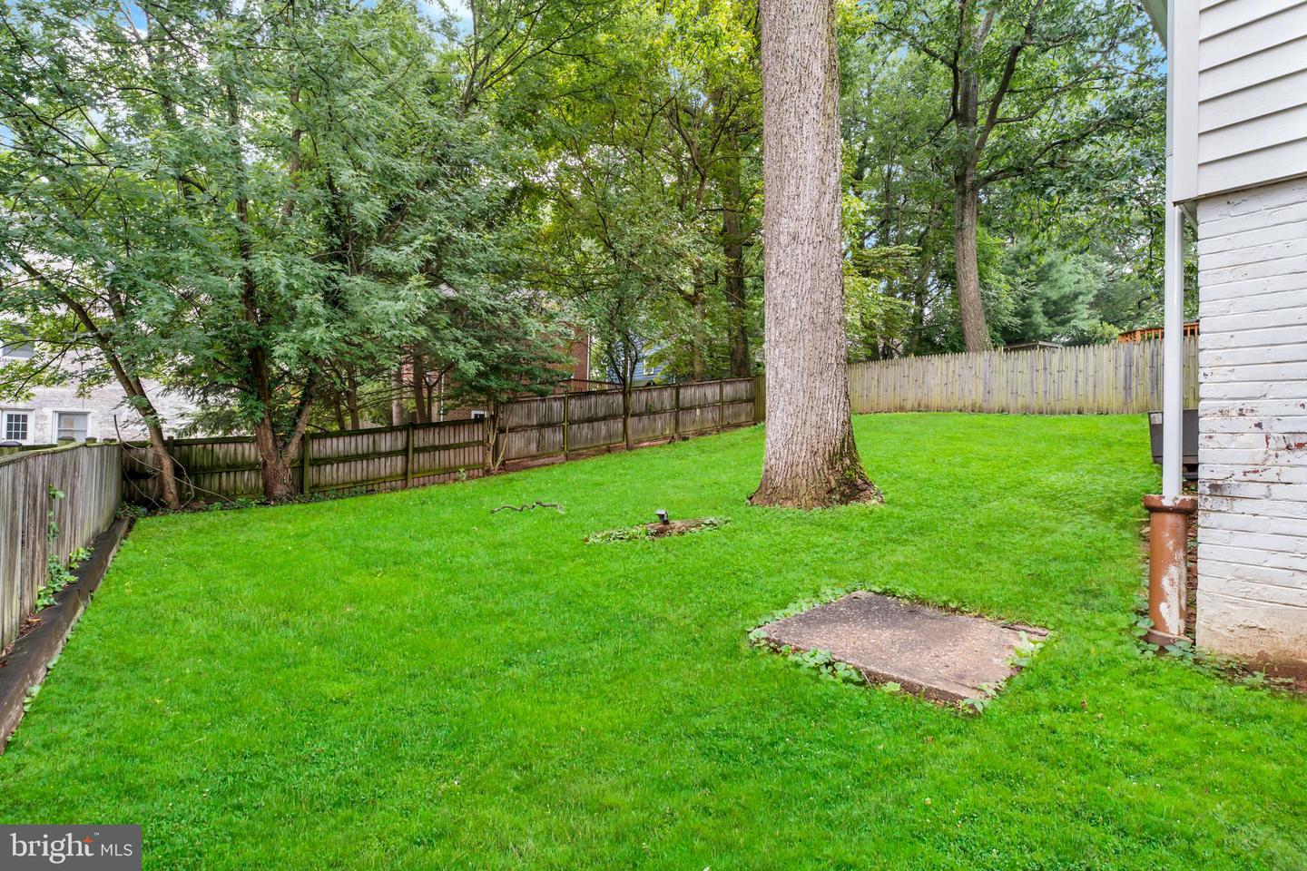 121 Whitmoor Ter Property Photo 36
