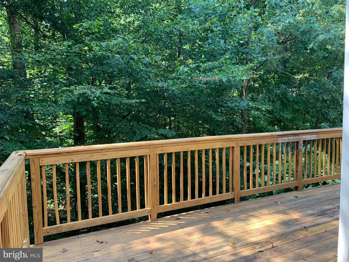 13706 Harvest Glen Way Property Photo 7
