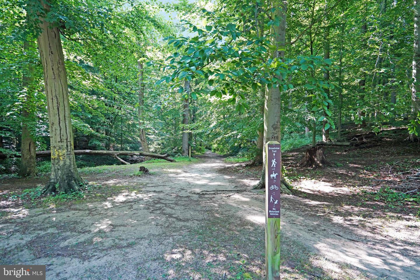 3004 Dawson Ave Property Photo 40