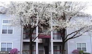 18535 Boysenberry Dr #220 Property Photo 1