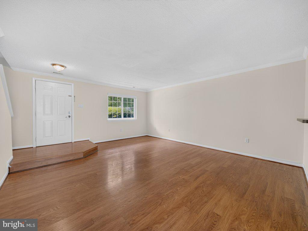 11458 Stoney Point Pl Property Photo 5