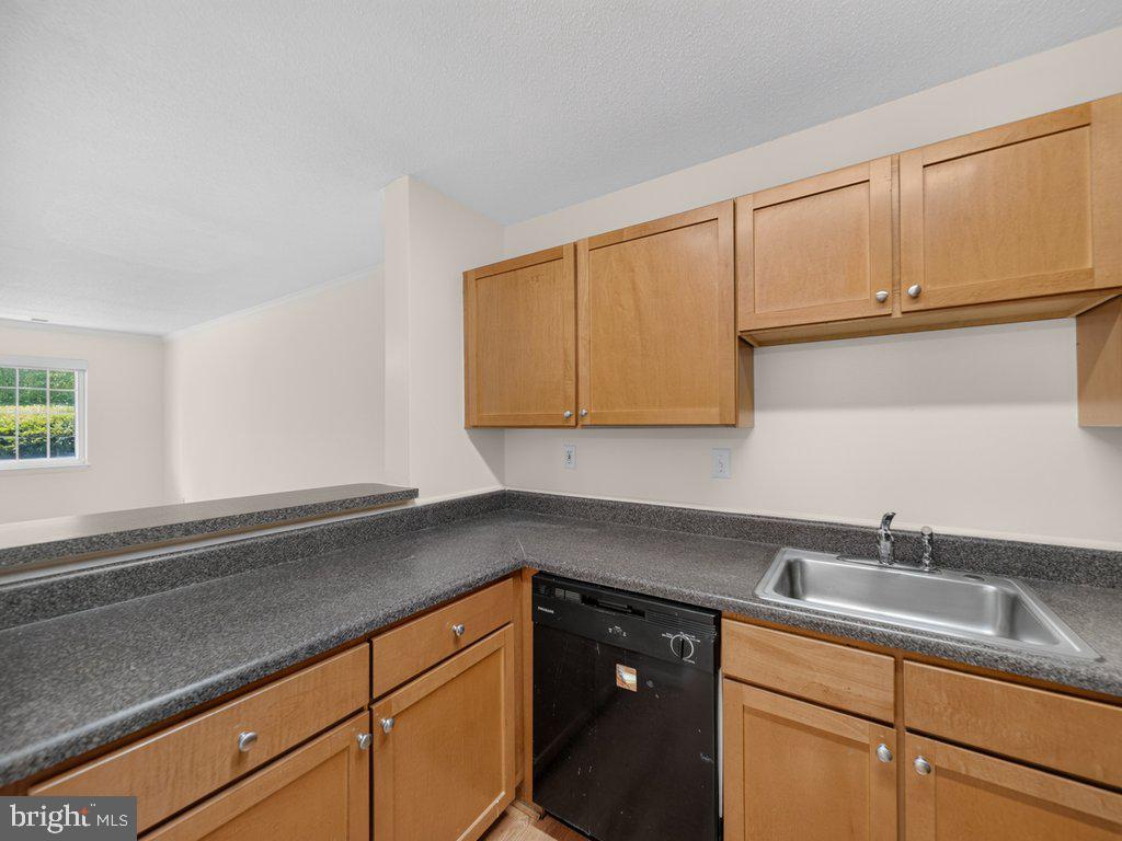 11458 Stoney Point Pl Property Photo 17