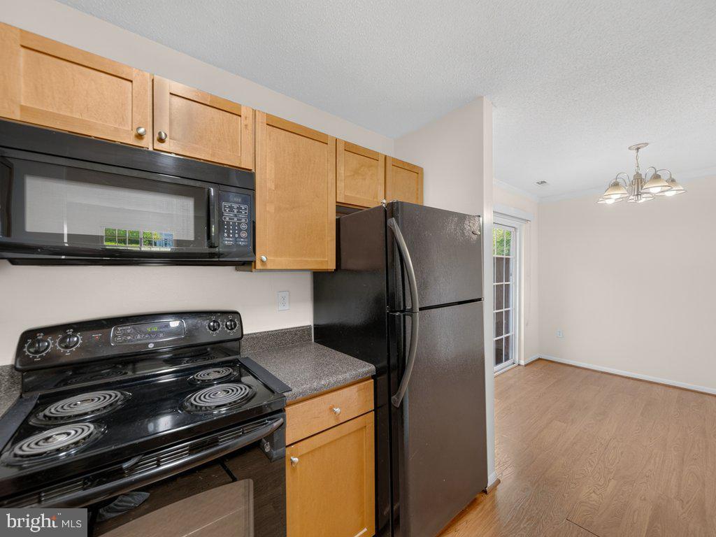 11458 Stoney Point Pl Property Photo 18