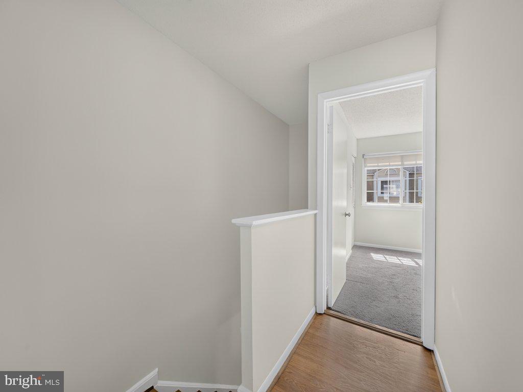 11458 Stoney Point Pl Property Photo 19