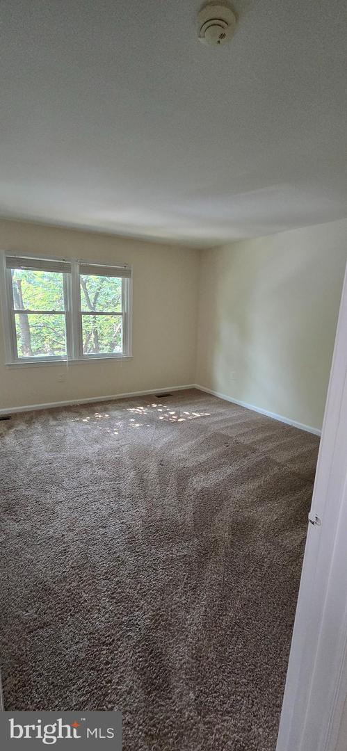 707 Curry Ford Ln Property Photo 13