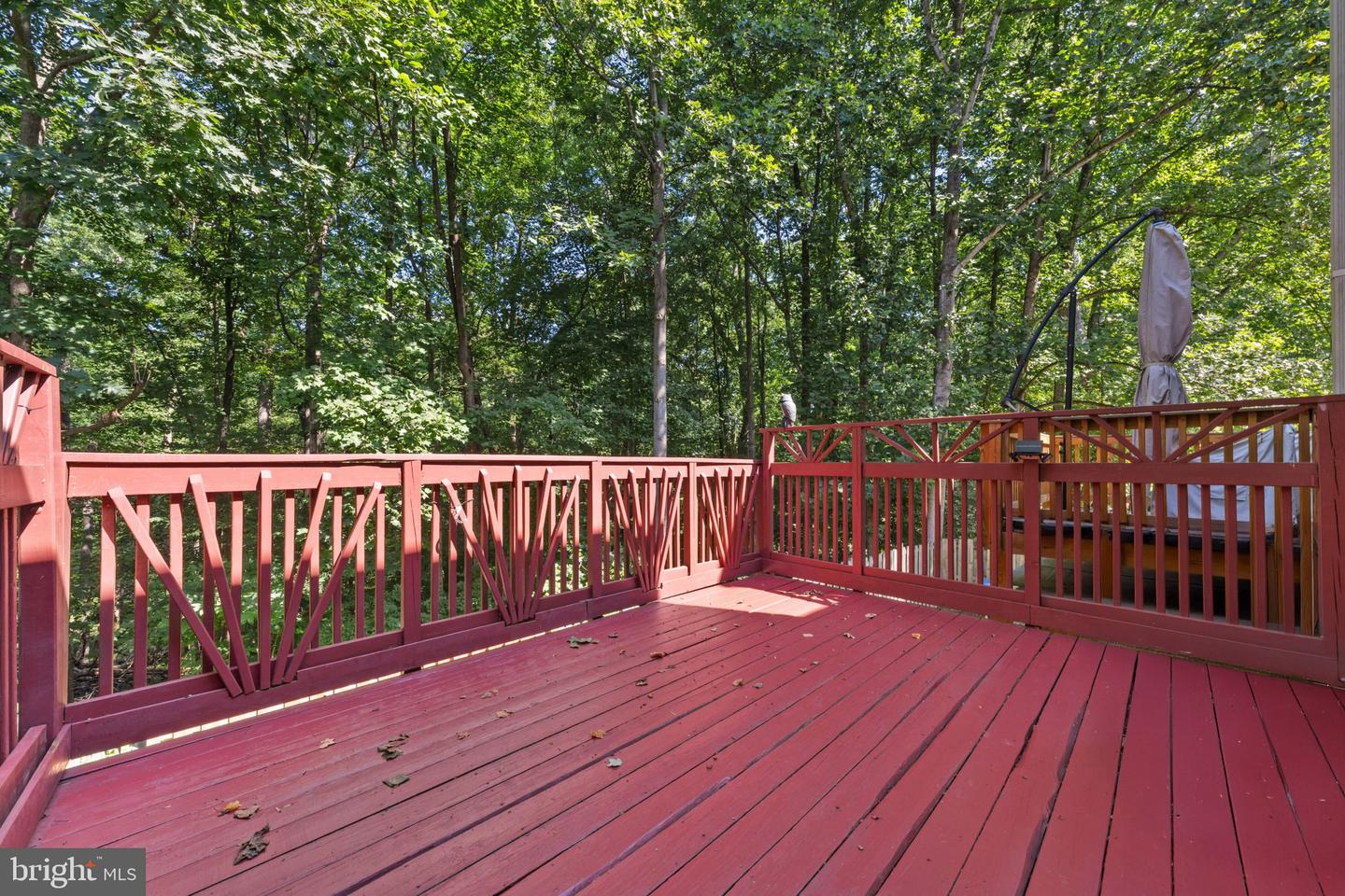 14246 Long Green Dr Property Photo 29