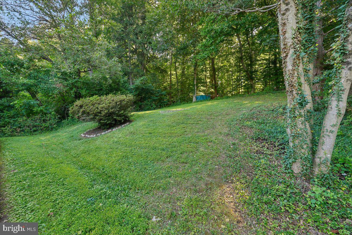 6501 Pyle Rd Property Photo 86