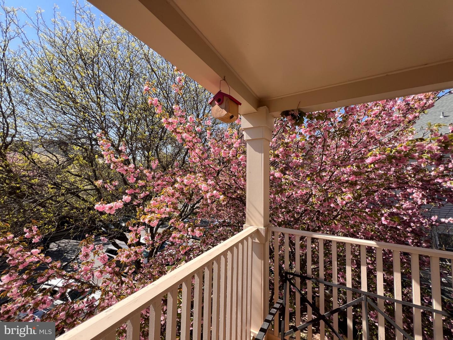 15307 Diamond Cove Ter #6-a Property Photo 2
