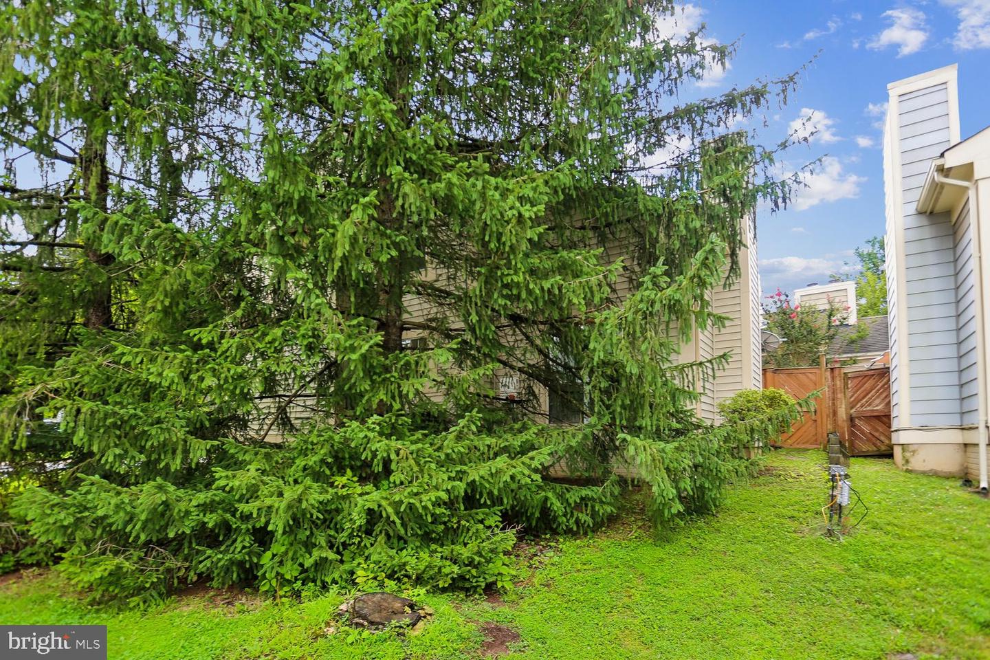 19906 Ivoryton Pl Property Photo 54