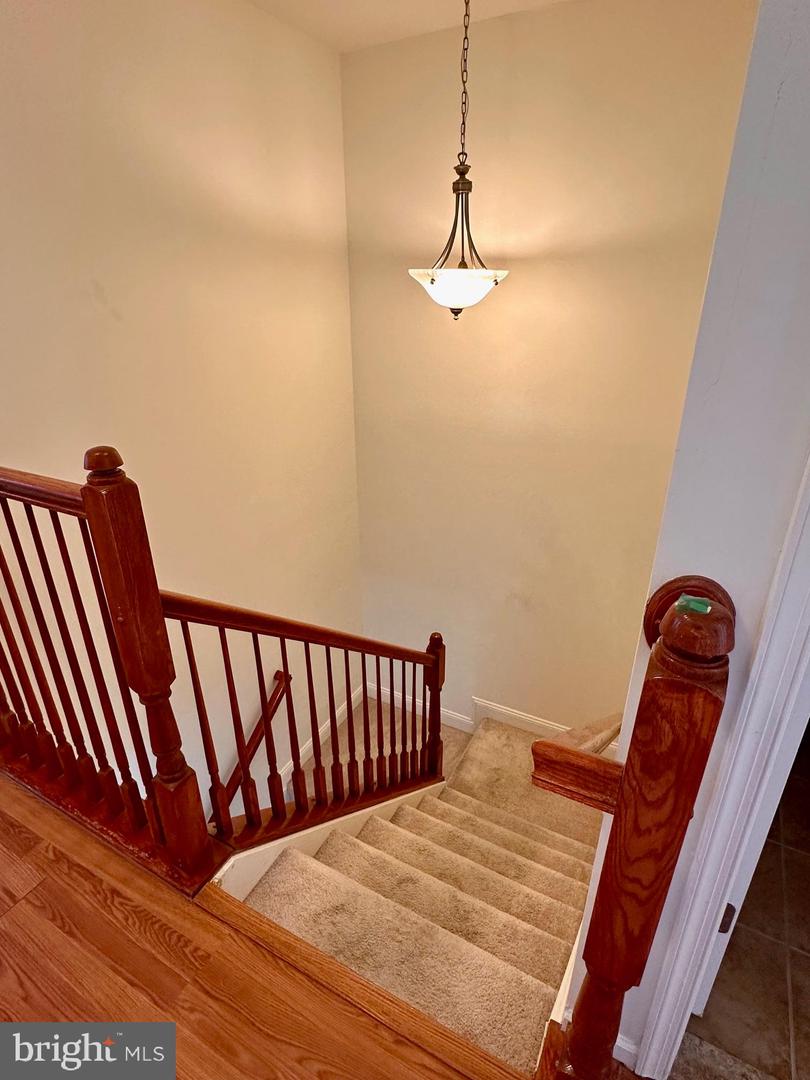 22928 Spicebush Dr #1641 Property Photo 18