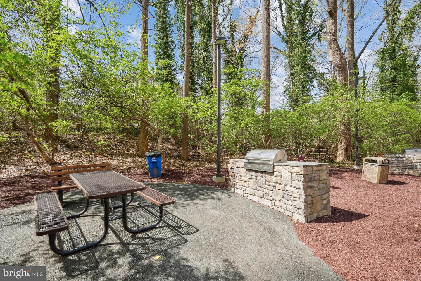 5225 Pooks Hill Rd #1705n Property Photo 34