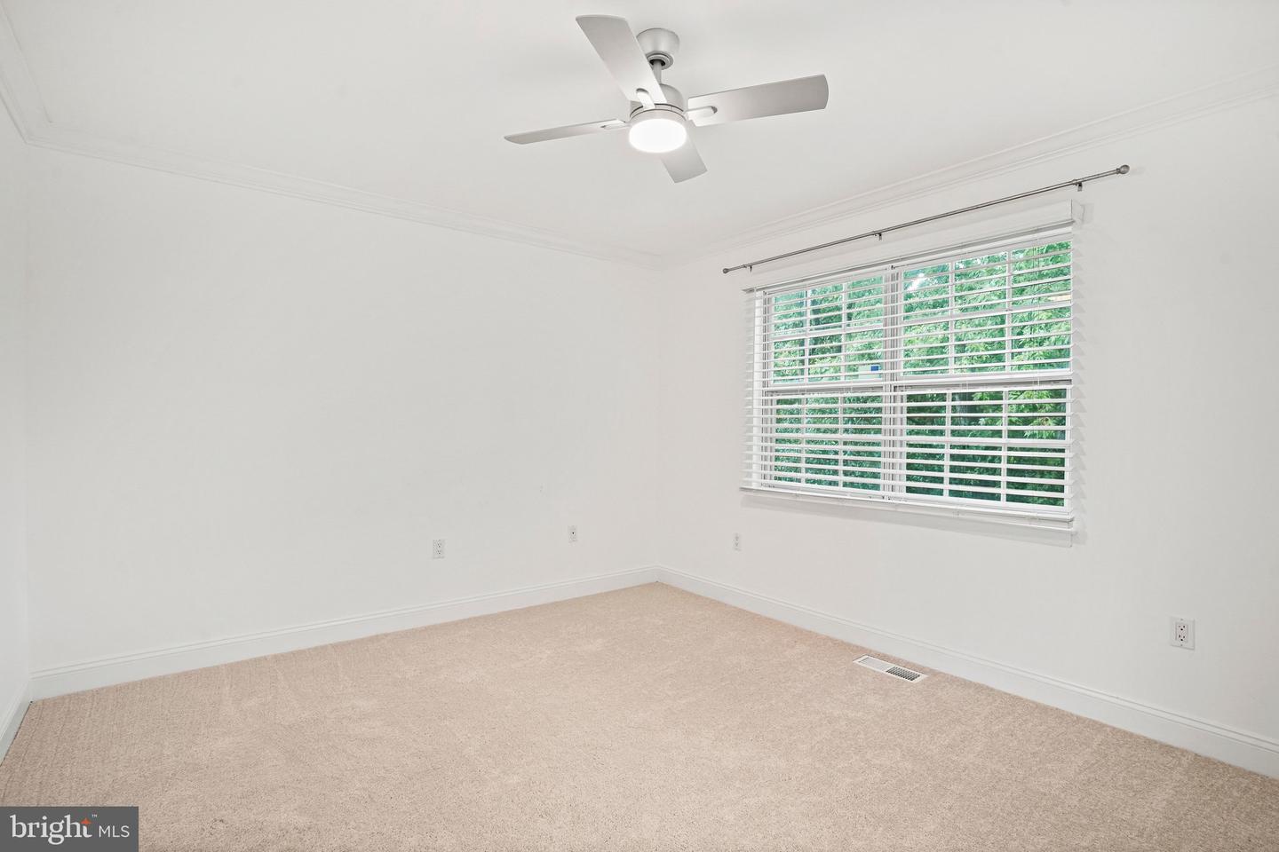 8304 Mountain Ash Way Property Photo 15