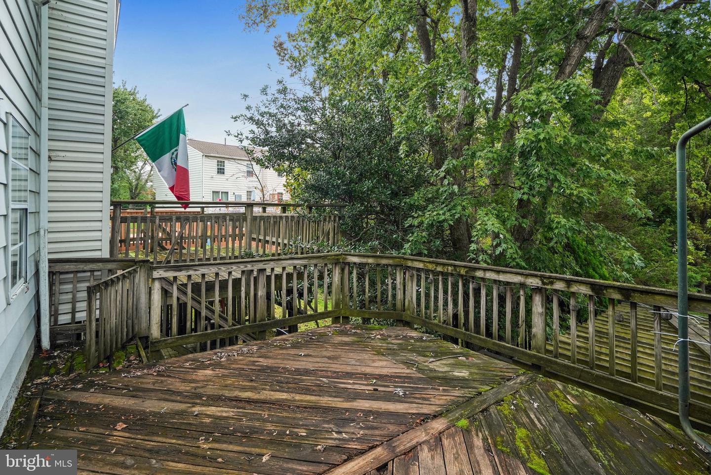 8304 Mountain Ash Way Property Photo 35