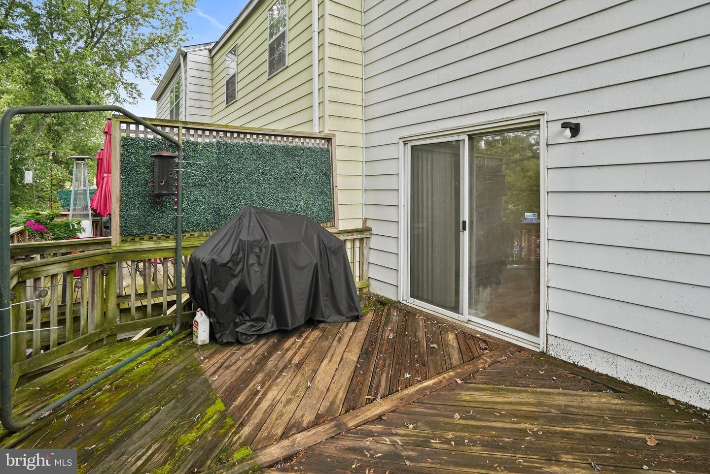 8304 Mountain Ash Way Property Photo 36