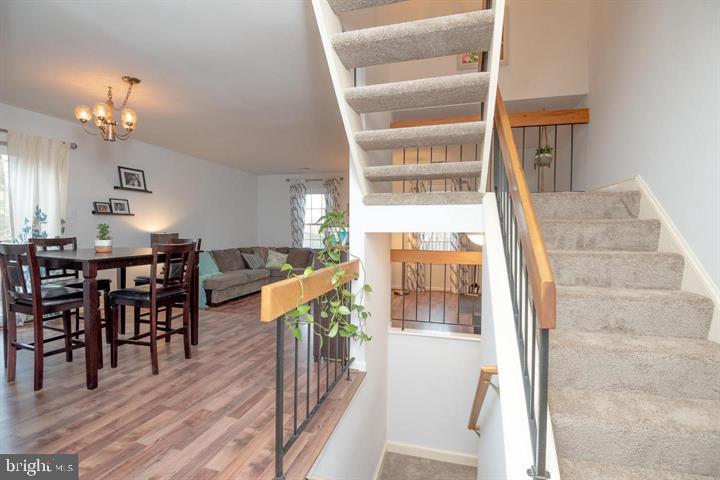 1117 Wildpark Ave Property Photo 20