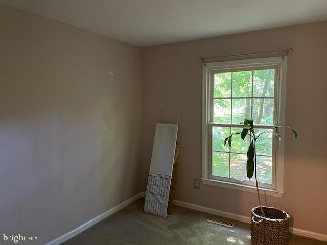 1117 Wildpark Ave Property Photo 32