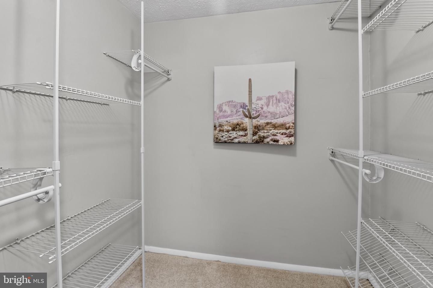 10110 Watkins Mill Pl Property Photo 13