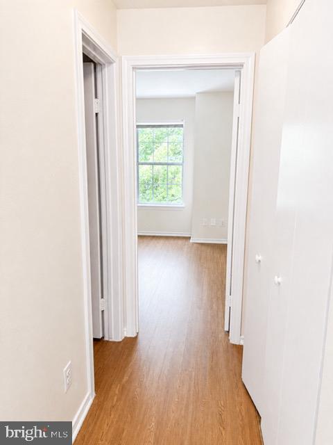 18512 Boysenberry Dr #128 Property Photo 8