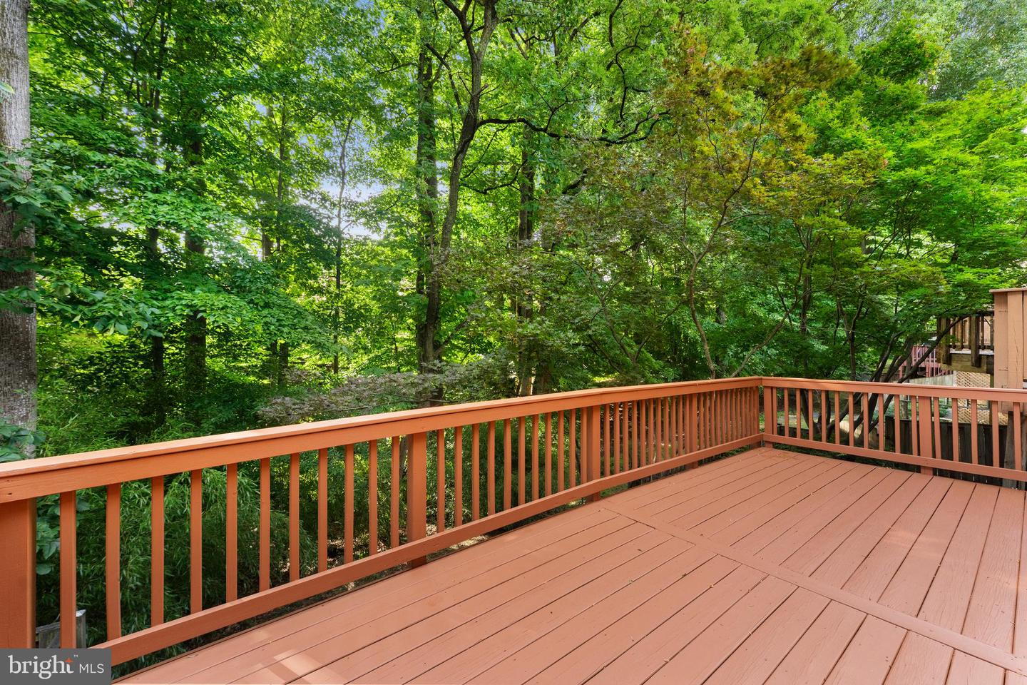 10719 Mist Haven Ter Property Photo 28