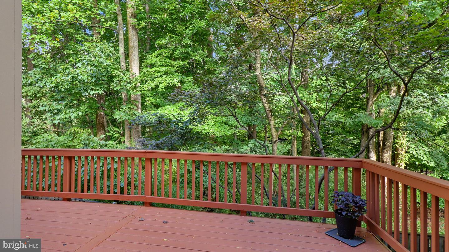 10719 Mist Haven Ter Property Photo 29