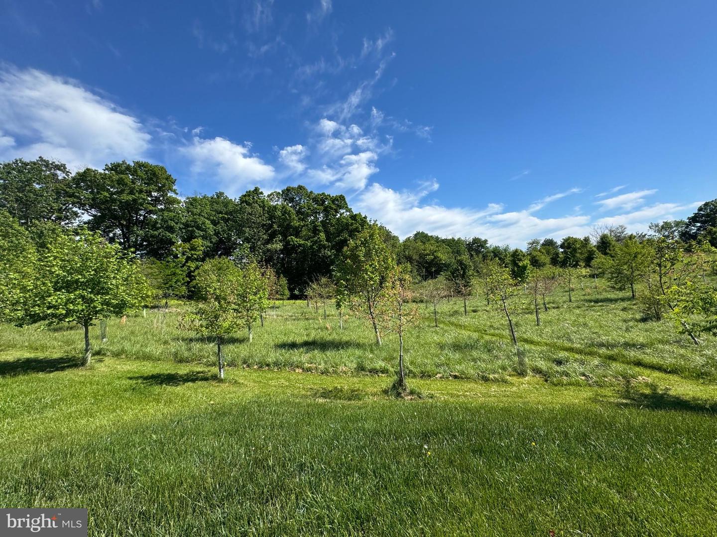 15491 Barnesville Rd Property Photo 4