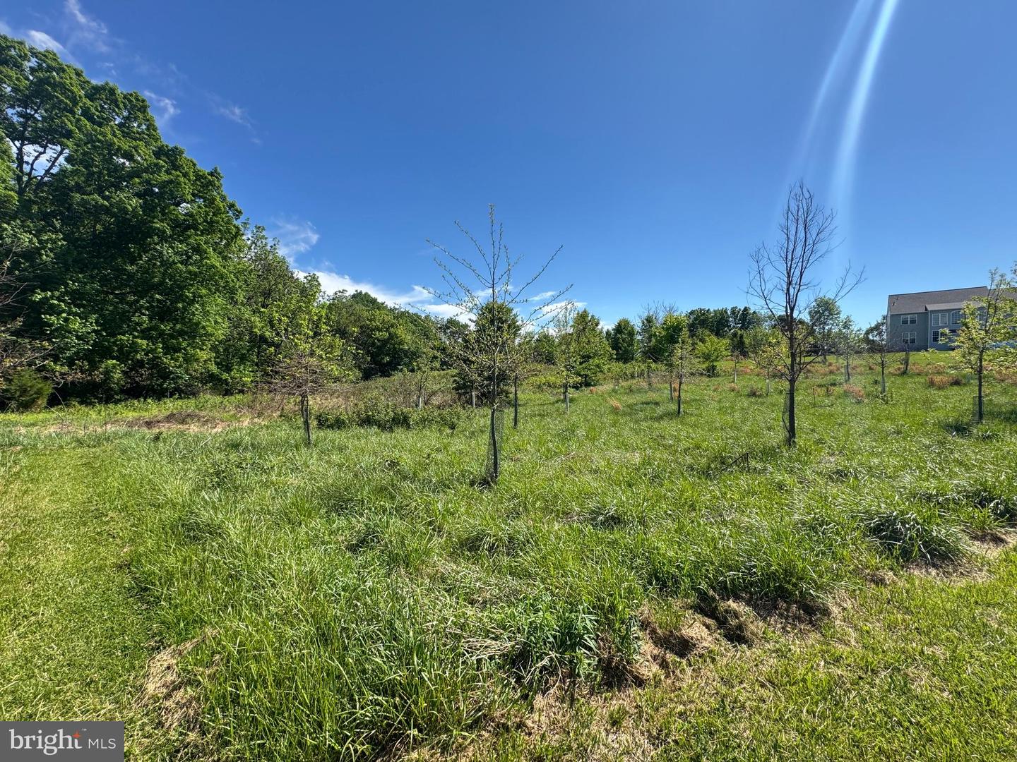 15491 Barnesville Rd Property Photo 8